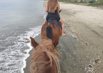 horse back riding