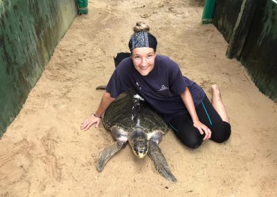 with a turtle