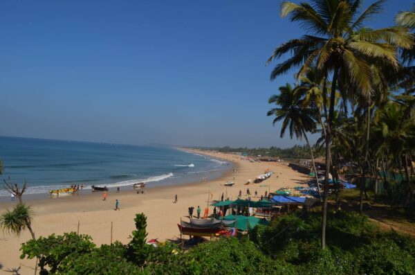 India: Goa Culture + Volunteering | 21 Days - Image 4