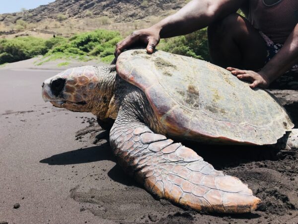 Cape Verde: Culture + Volunteer + Trekking | 21 days - Image 7