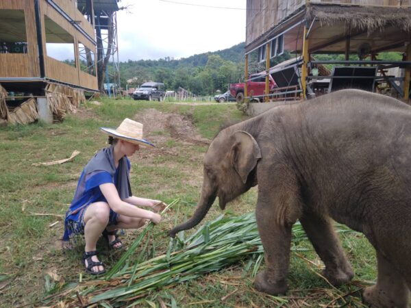 Thailand: Chiang Mai Culture + Volunteering + Adventure | 21 Days - Image 4