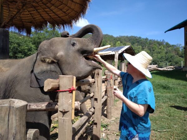 Thailand: Chiang Mai Culture + Volunteering + Adventure | 21 Days - Image 6