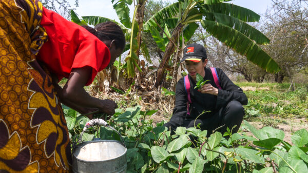 Malawi: Culture + Volunteering | 21 Days - Image 2