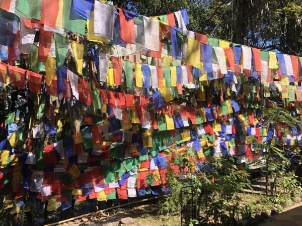 India: Darjeeling Culture + Volunteering | 21 Days - Image 4