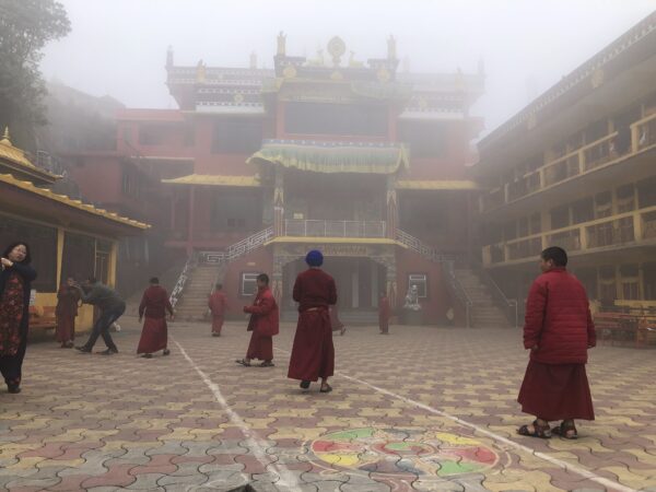 India: Darjeeling Culture + Volunteering | 21 Days - Image 5