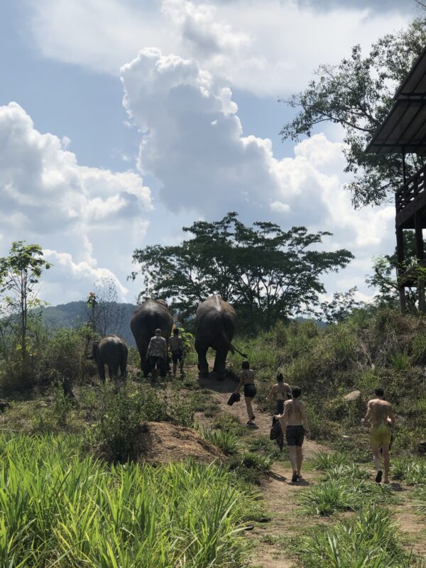 Thailand: Road Trip | 21 days - Image 5