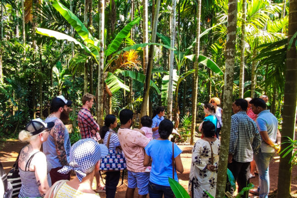 India: Goa Culture + Volunteering | 21 Days - Image 3