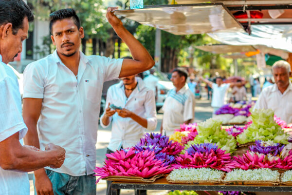 Sri Lanka: Culture + Volunteering + Adventure | 28 Days - Image 5