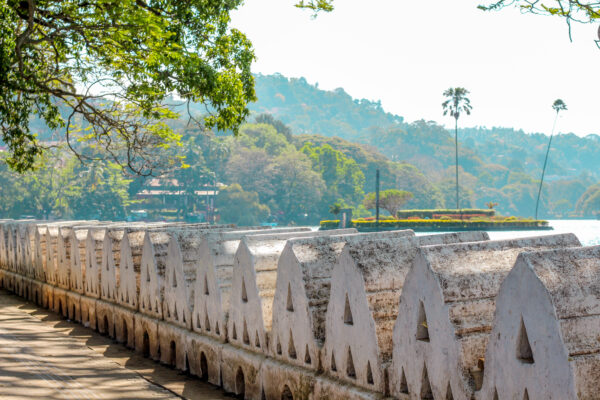 Sri Lanka: Culture + Elephant Experience | 21 Days - Image 4