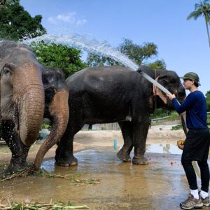 Thailand: Koh Samui Culture + Volunteering | 21 Days