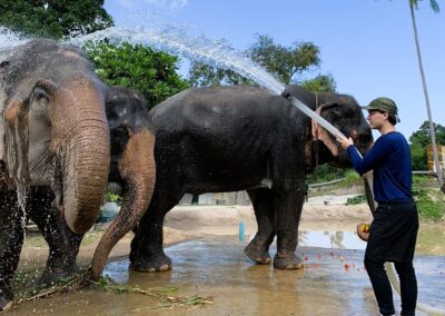 Thailand: Koh Samui Culture + Volunteering | 21 Days