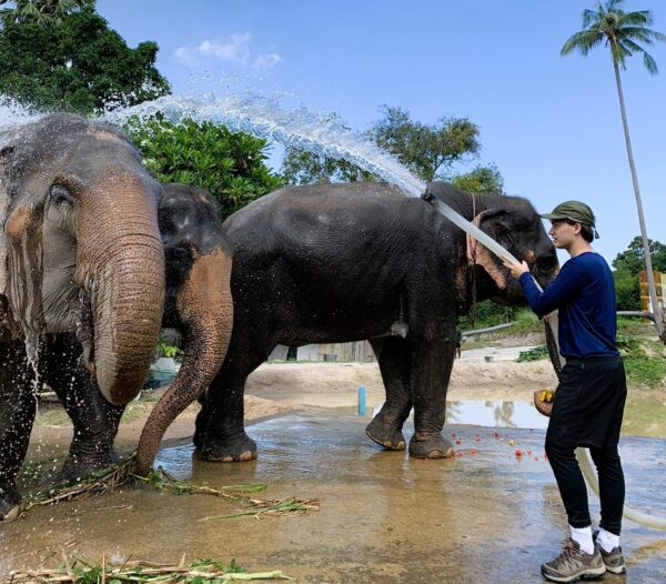 Thailand: Koh Samui Culture + Volunteering | 21 Days