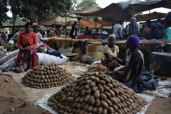 Malawi: Culture + Volunteering | 21 Days - Image 5