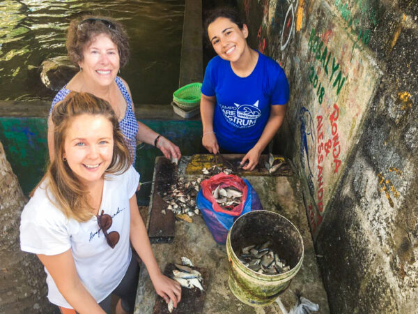 Sri Lanka: Culture + Turtle Conservation | 21 Days - Image 2
