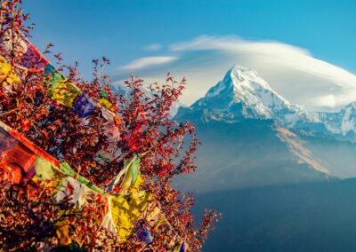 India: Darjeeling Culture + Volunteering | 21 Days