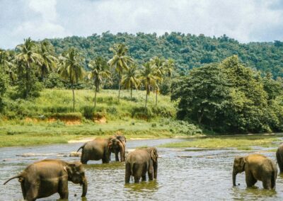 Sri Lanka | 10 Days
