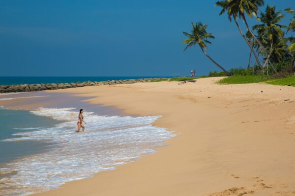 Sri Lanka: Road Trip | 21 Days - Image 3