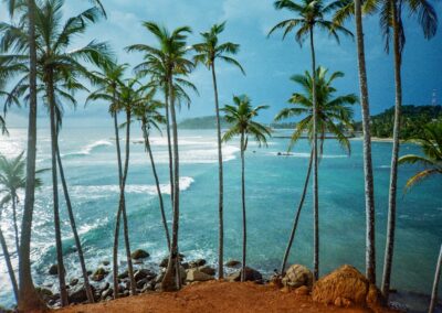 Sri Lanka | 21 Days